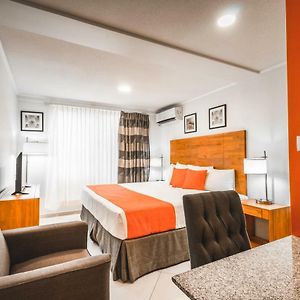 Kamer met een King Size Bed