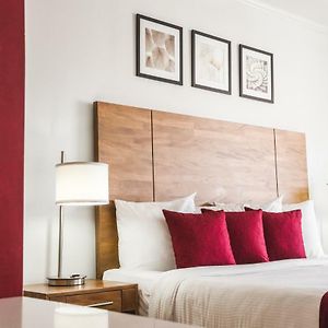 Suite "City"